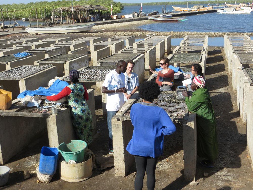 Senegal Fish Drying